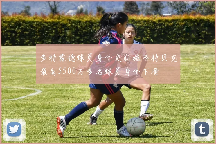 多特蒙德球员身价更新施洛特贝克最高5500万多名球员身价下滑