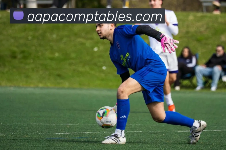 辅助工具
